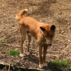 184_IMG_5814.jpg