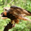 187_IMG_5836.jpg