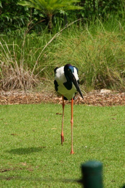 190_IMG_5850.jpg