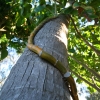 Cairns, Cape Tribulation &amp; Tablelands