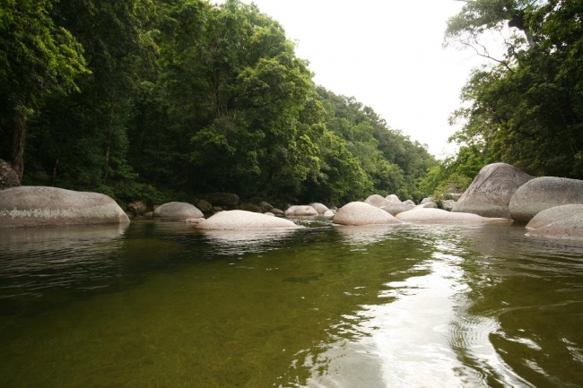 Mossman Gorge between Cairns and Cape Trib