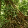 cairns_010.jpg