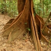 cairns_012.jpg