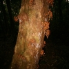 cairns_014.jpg