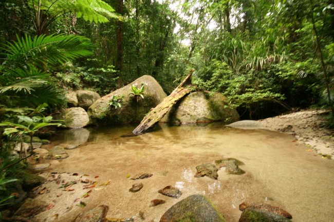 cairns_018.jpg