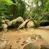 cairns_018.jpg