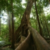 cairns_022.jpg