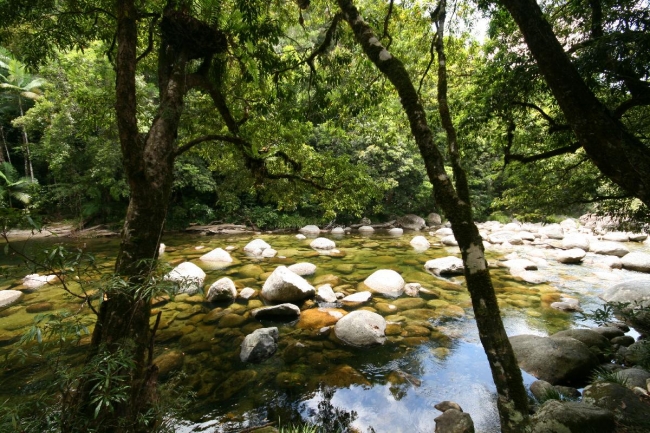 cairns_024.jpg