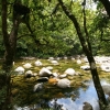 cairns_024.jpg