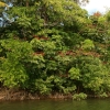 cairns_033.jpg