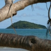 cairns_038.jpg