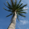 cairns_040.jpg