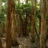 cairns_041.jpg