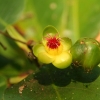 cairns_042.jpg
