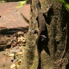 cairns_045.jpg