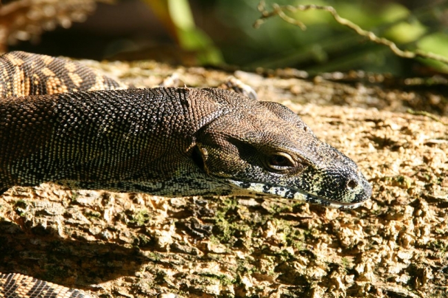 cairns_046.jpg