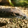 cairns_046.jpg