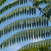 cairns_054.jpg