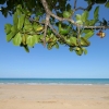 cairns_058.jpg