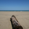 cairns_061.jpg