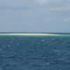 Snorkeling at its best!