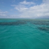 cairns_066.jpg