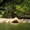 cairns_070.jpg