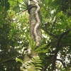 cairns_072.jpg