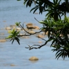 cairns_073.jpg