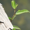 cairns_074.jpg