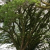cairns_077.jpg