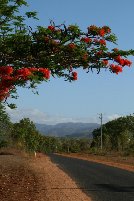 cairns_079.jpg