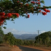 cairns_079.jpg