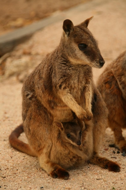 cairns_082.jpg