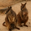 cairns_083.jpg