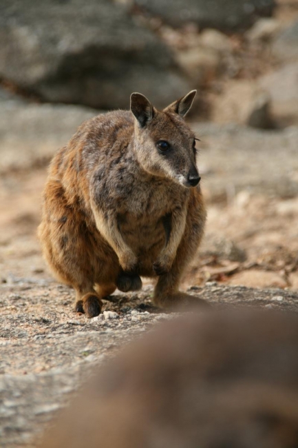 cairns_084.jpg