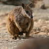 cairns_084.jpg