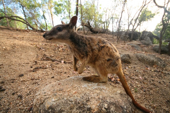 cairns_085.jpg