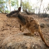 cairns_085.jpg