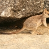 cairns_088.jpg