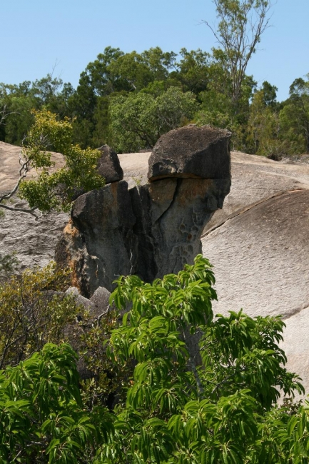 cairns_090.jpg