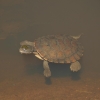 cairns_095.jpg