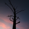 cairns_107.jpg