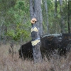 cairns_116.jpg