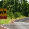 cairns_120.jpg
