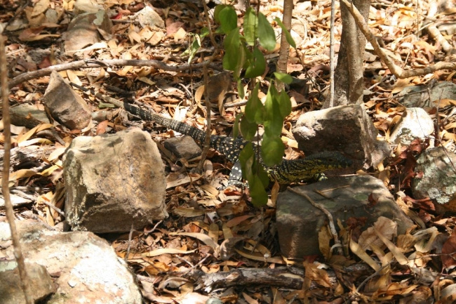 Sand Monitor