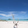 whitsundays_035.jpg