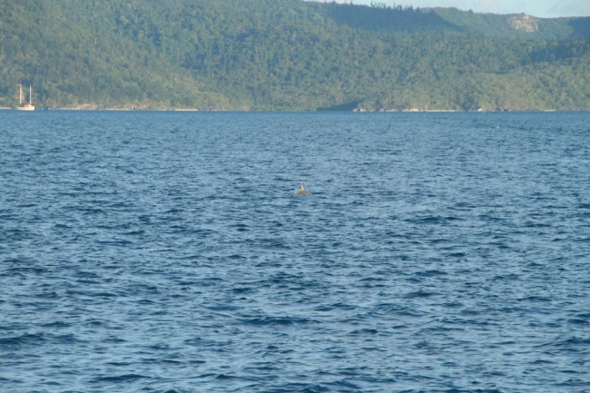whitsundays_051.jpg
