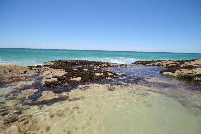 Champagne Pools