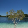 Lake Mckenzie - just beautiful!